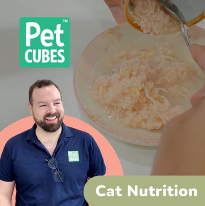 Cat Nutrition Class