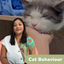 Cat Care Foundations Series Bundle (4 Classes)