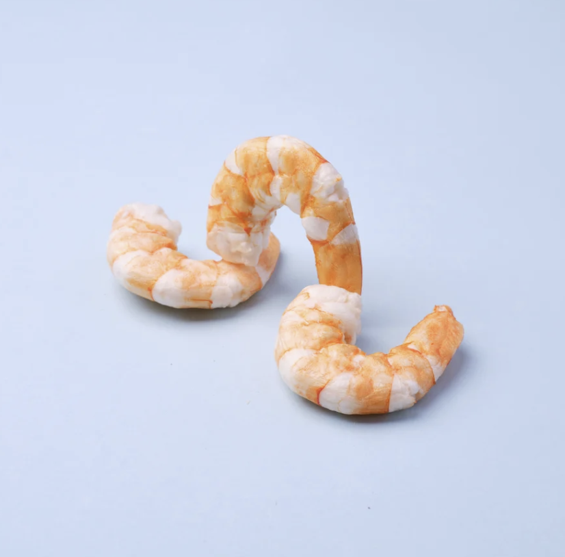 WildChow Freeze Dried Hae Bee (Prawns)