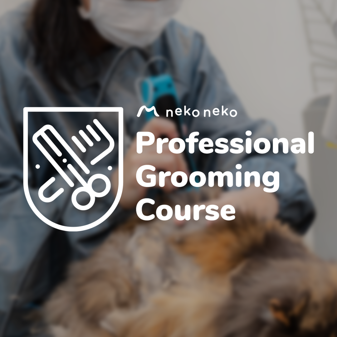 Professional Grooming Course