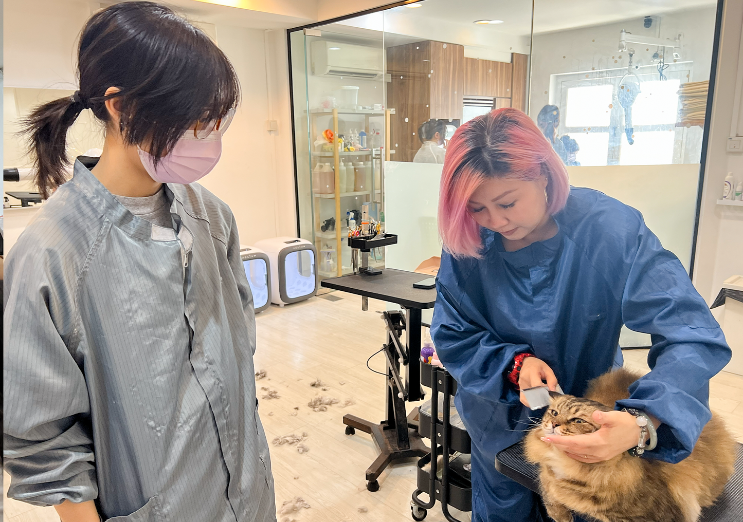 (Weekend) Professional Grooming Class | Module 1 (8 Classes)