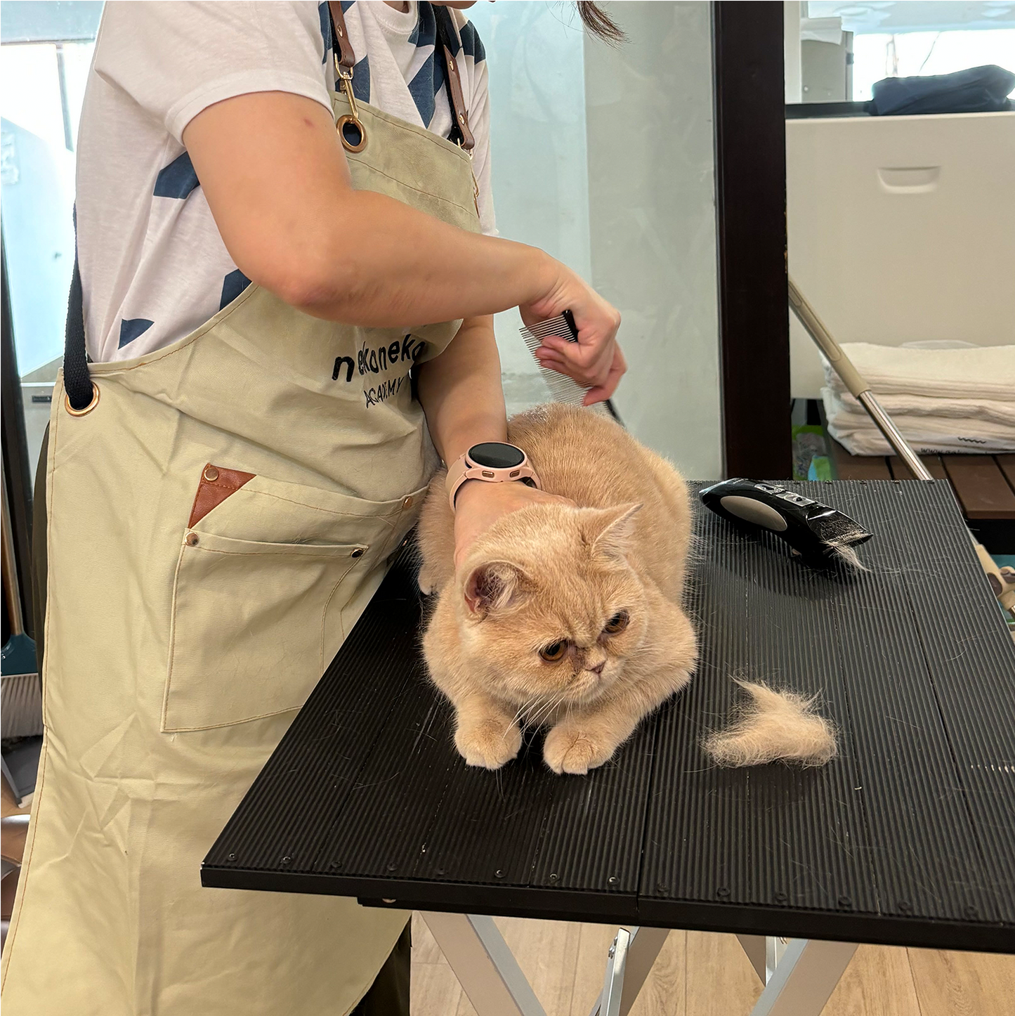 (Weekday) Professional Grooming Course Full Course Bundle