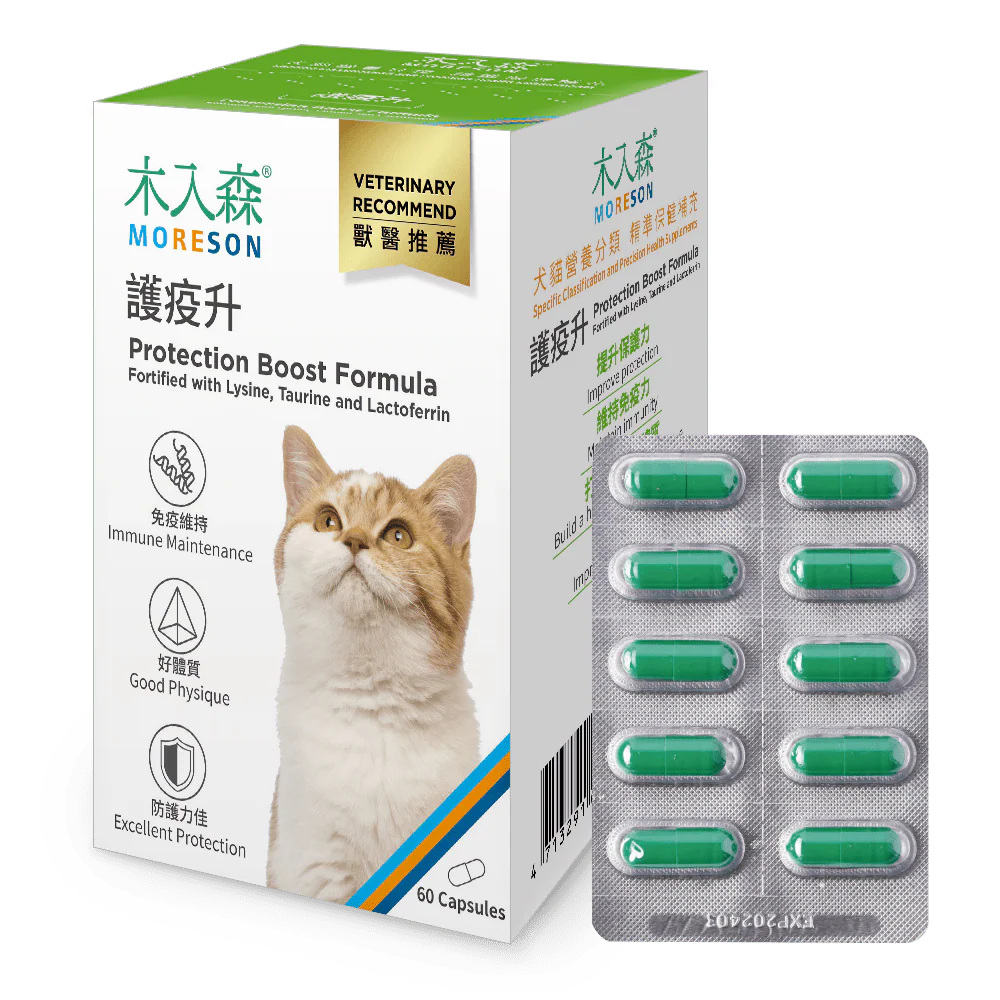 Cat Immunity Protection Boost Formula