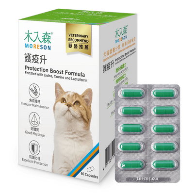 Cat Immunity Protection Boost Formula
