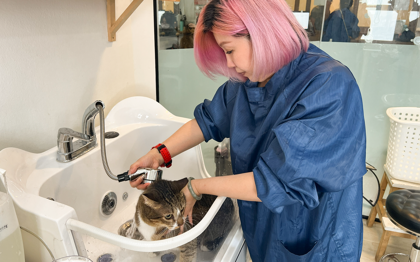(Weekend) Professional Grooming Class | Module 1 (8 Classes)