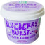 PetCubes Ice Cream for Dogs & Cats - Blueberry Burst, 3.5oz