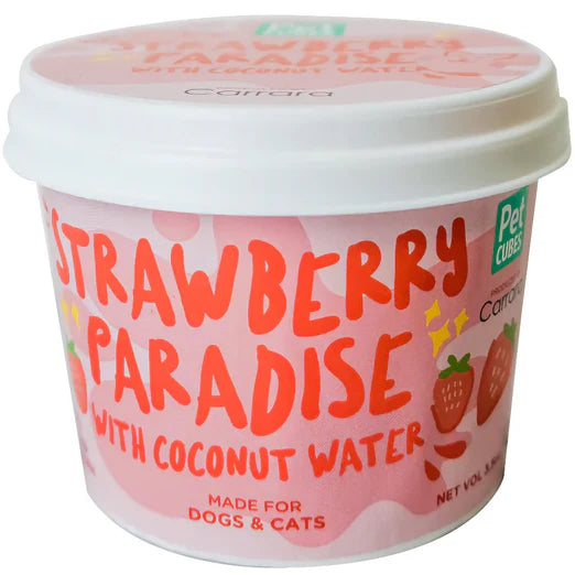 PetCubes Strawberry Paradise Sorbet Ice Cream for Dogs & Cats, 3.5oz