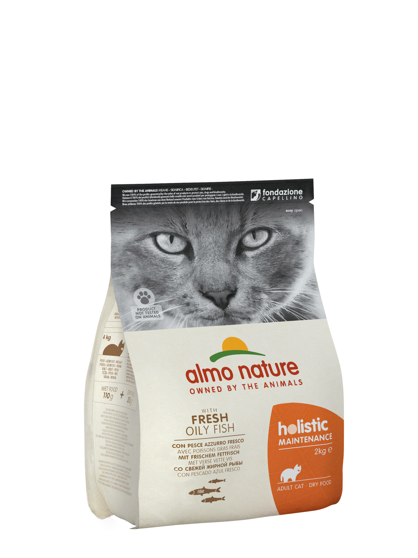 Almo Nature Holistic Maintenance with Fresh Oily Fish Dry Cat Food